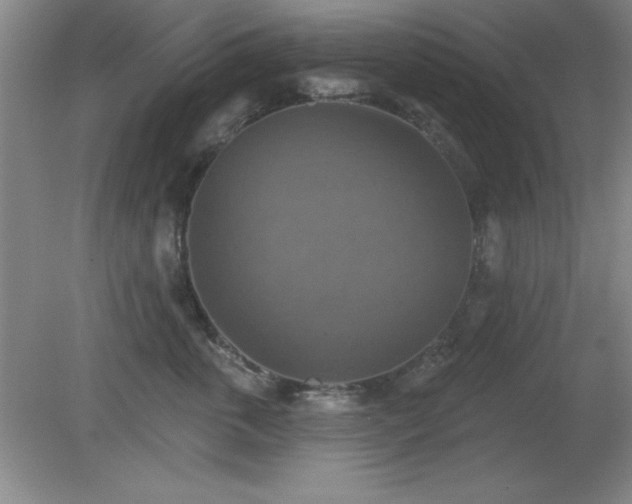 X0000081380763200701182205