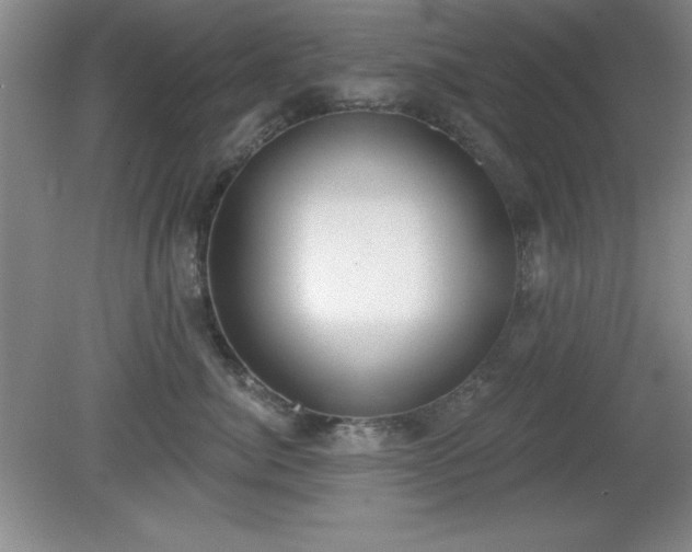 X0000081380764200701182205