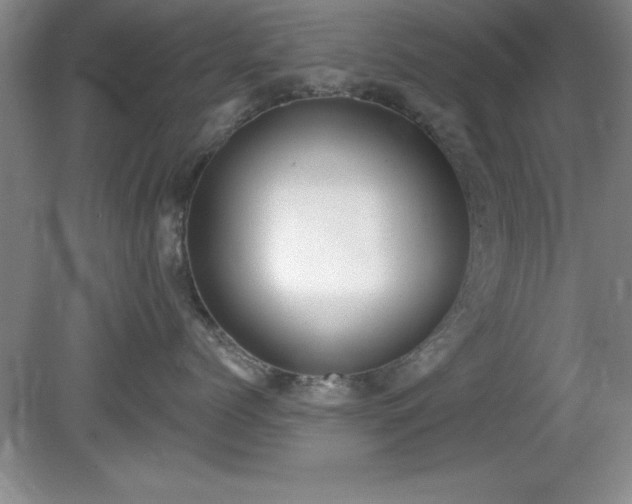 X0000081380768200701182205