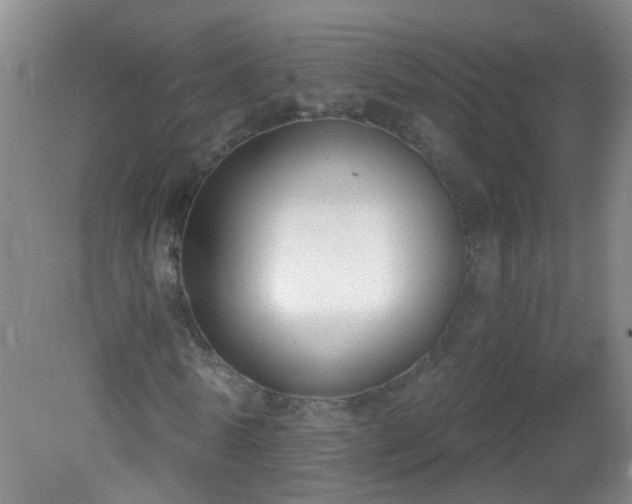 X0000081380770200701182204