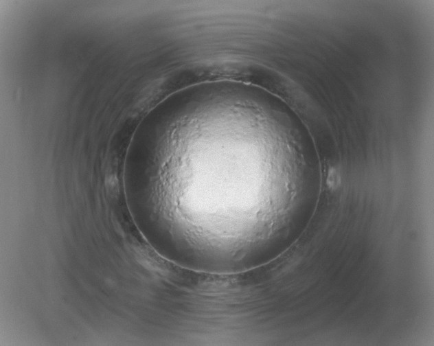 X0000081380771200701182204