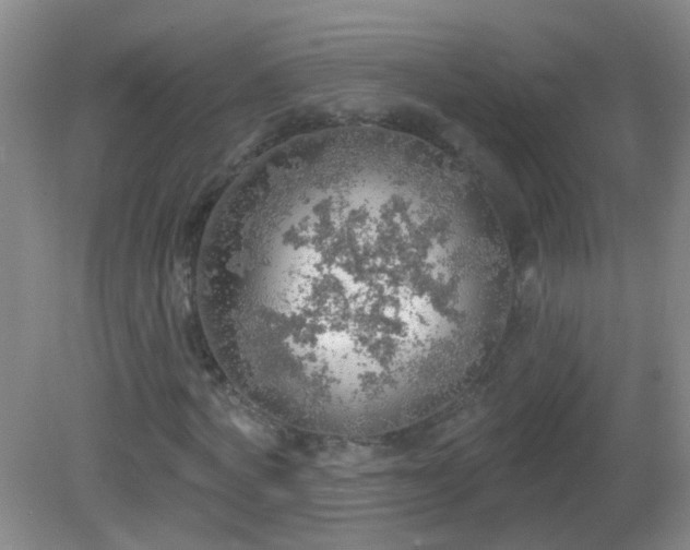 X0000081380772200701182204