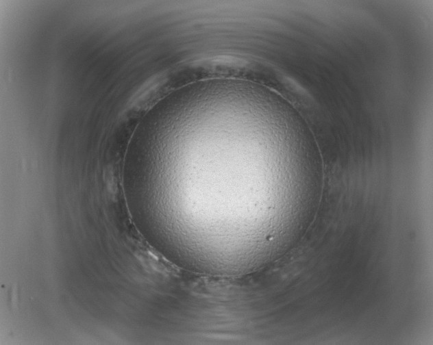 X0000081380774200701182204