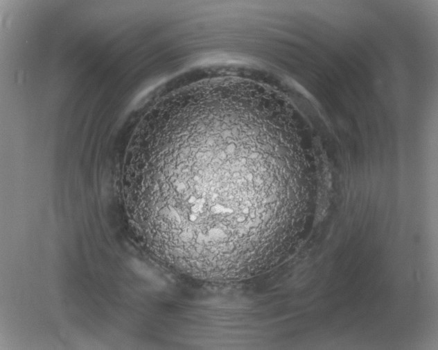 X0000081380775200701182204