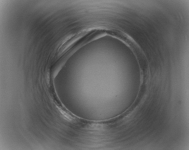 X0000081380777200701182204