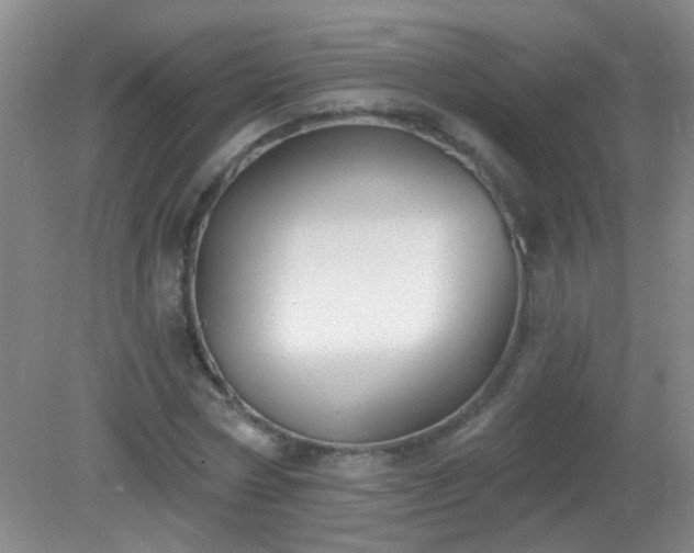 X0000081380778200701182204