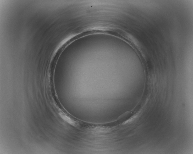 X0000081380779200701182204