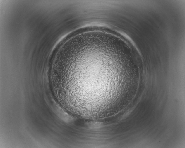 X0000081380783200701182204