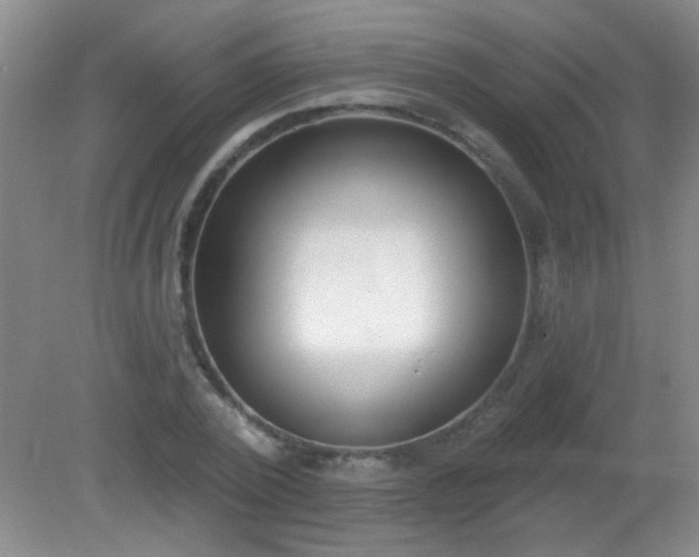 X0000081380784200701182204