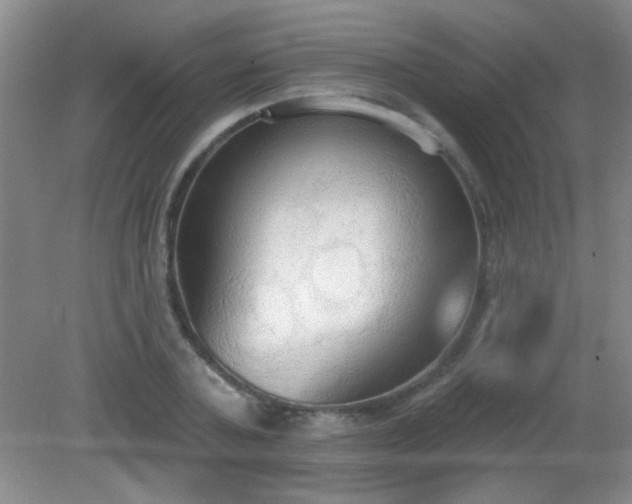 X0000081380787200701182204