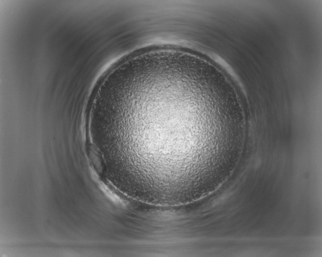 X0000081380791200701182204