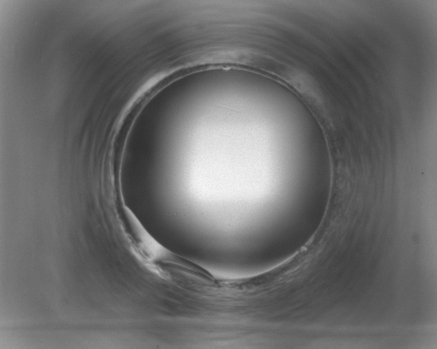 X0000081380792200701182204