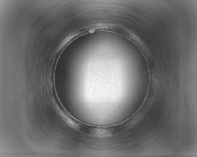 X0000081380794200701182204