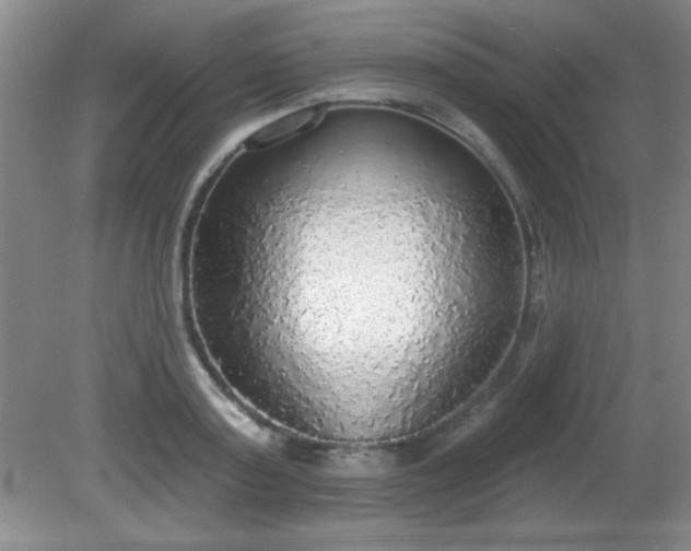 X0000081380795200701182204