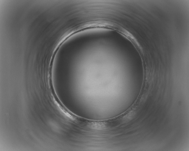 X0000081380802200701182204