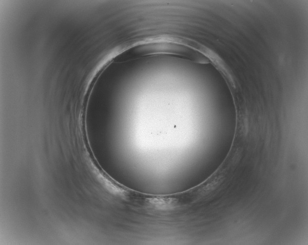 X0000081380805200701182204