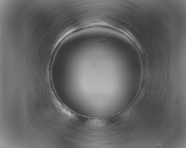 X0000081380806200701182204