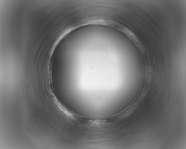 X0000081380808200701182204