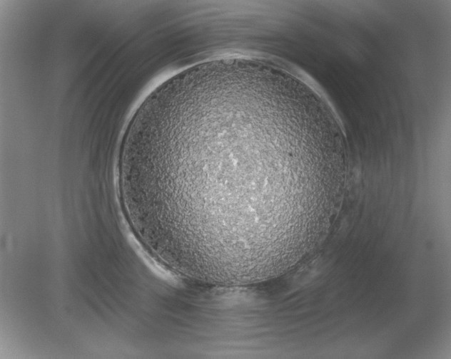 X0000081380811200701182204