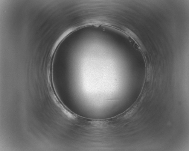 X0000081380812200701182204