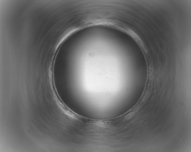 X0000081380814200701182204