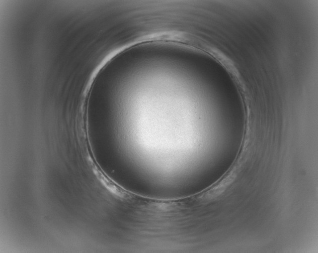 X0000081380816200701182204
