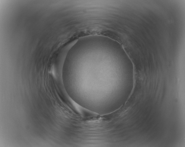 X0000081380818200701182203