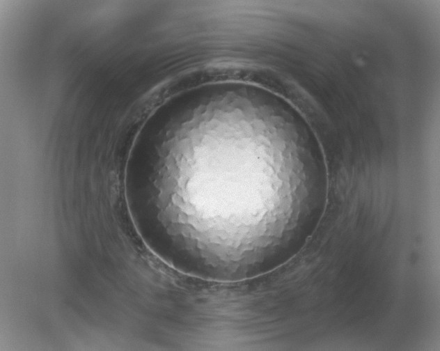 X0000081380821200701182203