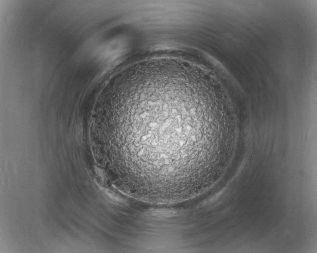 X0000081380825200701182203