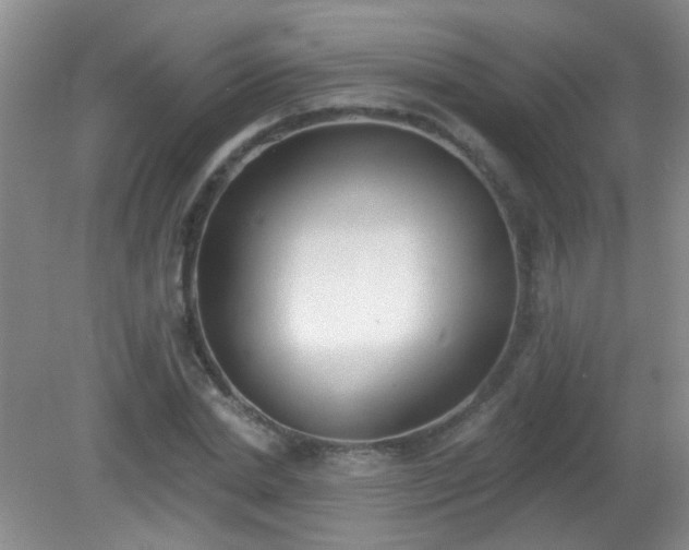 X0000081380830200701182203