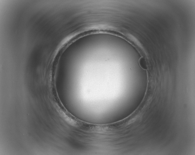 X0000081380831200701182203