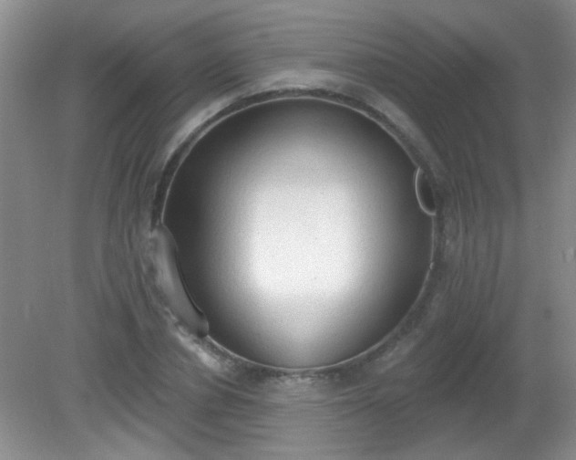 X0000081380834200701182203
