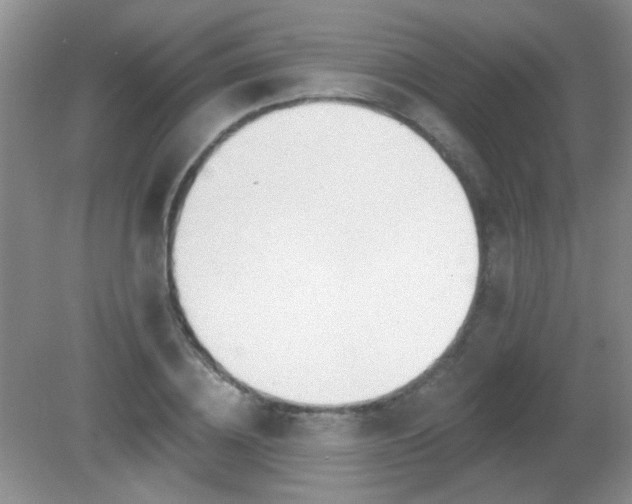 X0000081380836200701182203