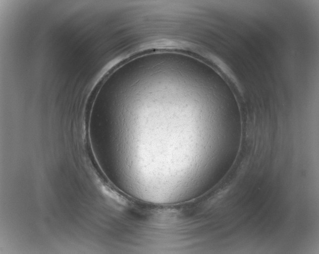 X0000081380837200701182203