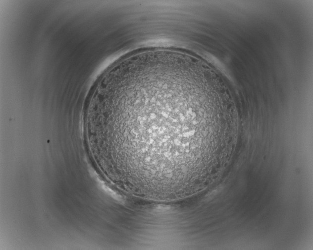 X0000081380839200701182203