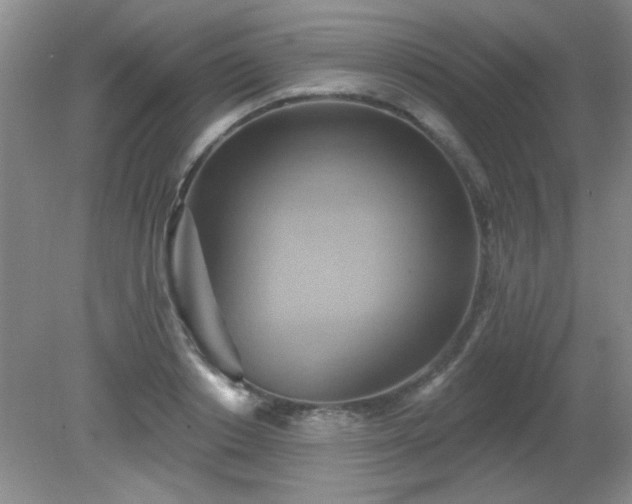 X0000081380842200701182203