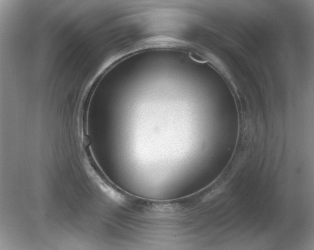 X0000081380843200701182203