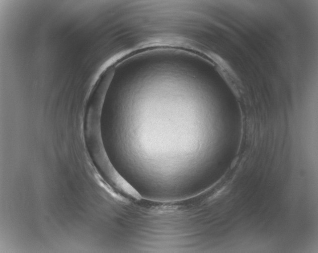 X0000081380846200701182203