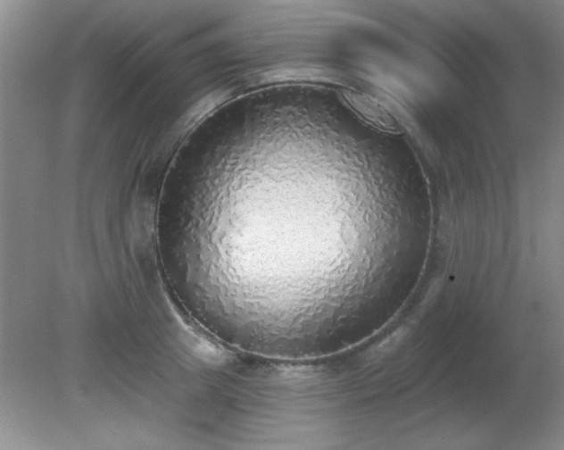 X0000081380849200701182203