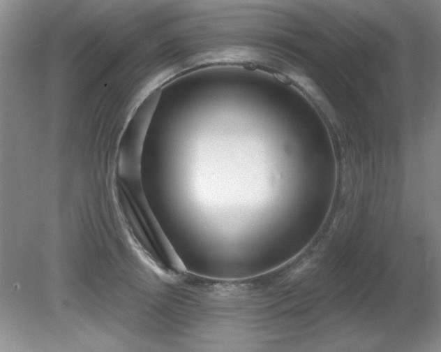 X0000081380850200701182203