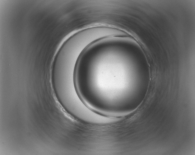 X0000081380854200701182203