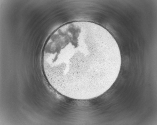 X0000081380856200701182204