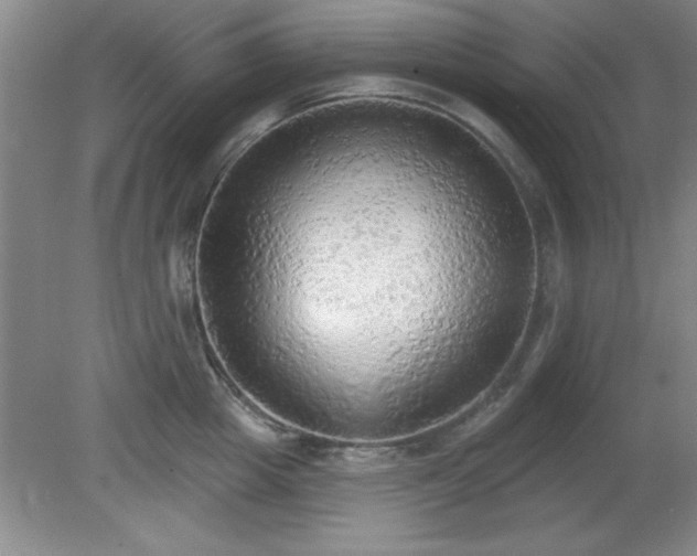X0000081380857200701182204
