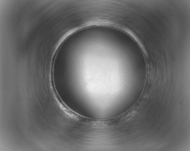 X0000081380861200701182204