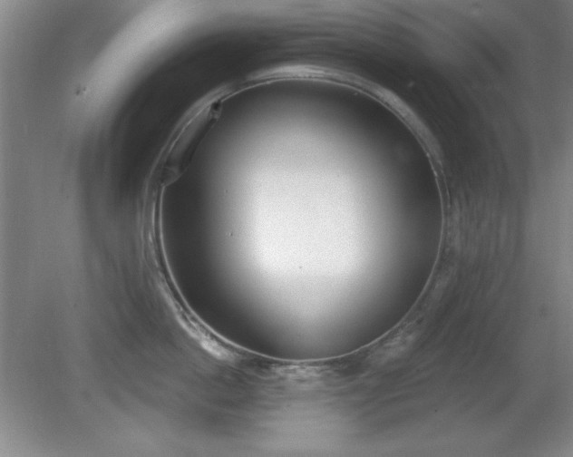 X0000081380862200701182204