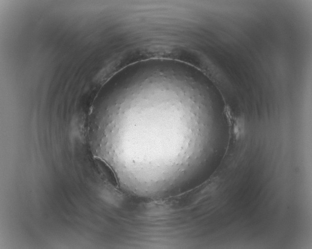 X0000081380867200701182203