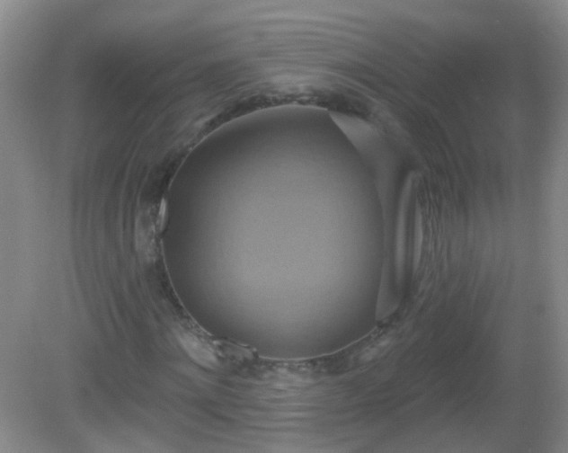 X0000081380868200701182203