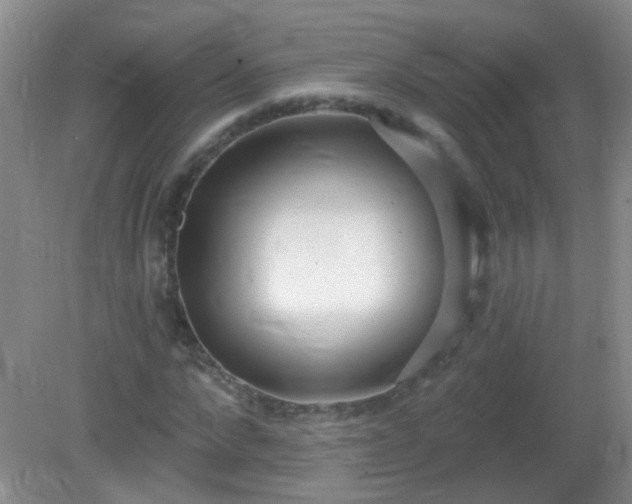 X0000081380872200701182203