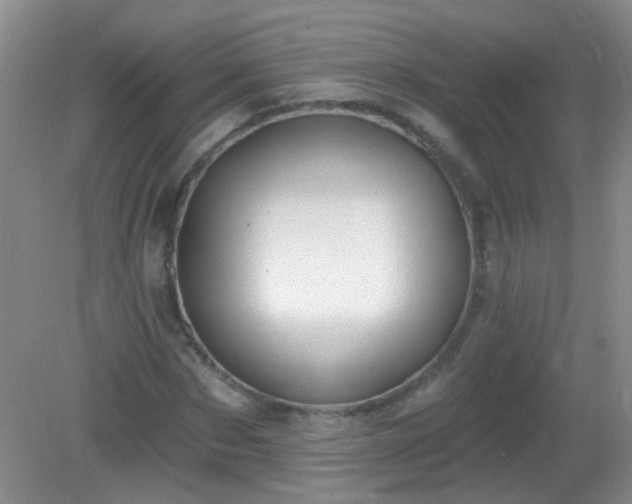 X0000081380873200701182203