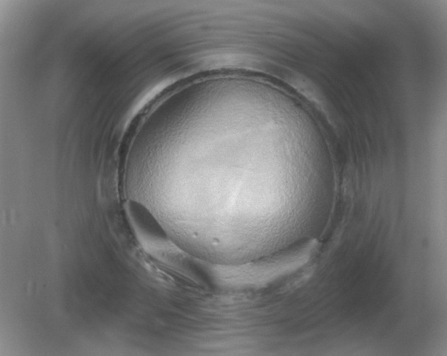 X0000081380877200701182203